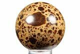 Polished Bauxite (Aluminum Ore) Sphere - Russia #316270-1
